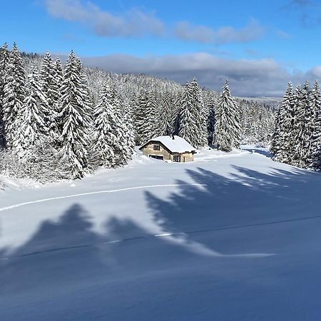 Hotel La Loge De La Dolarde - Chambre Nord-Est Prémanon Exteriér fotografie