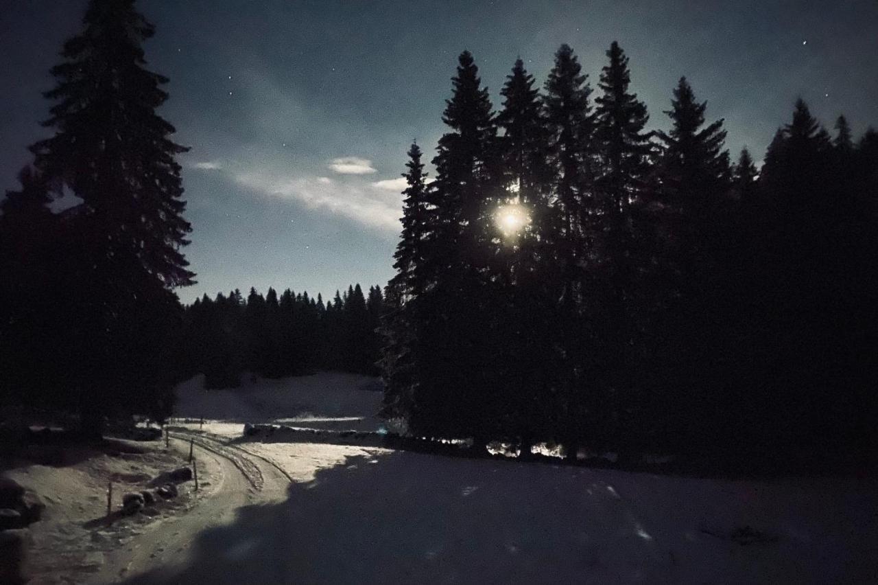 Hotel La Loge De La Dolarde - Chambre Nord-Est Prémanon Exteriér fotografie